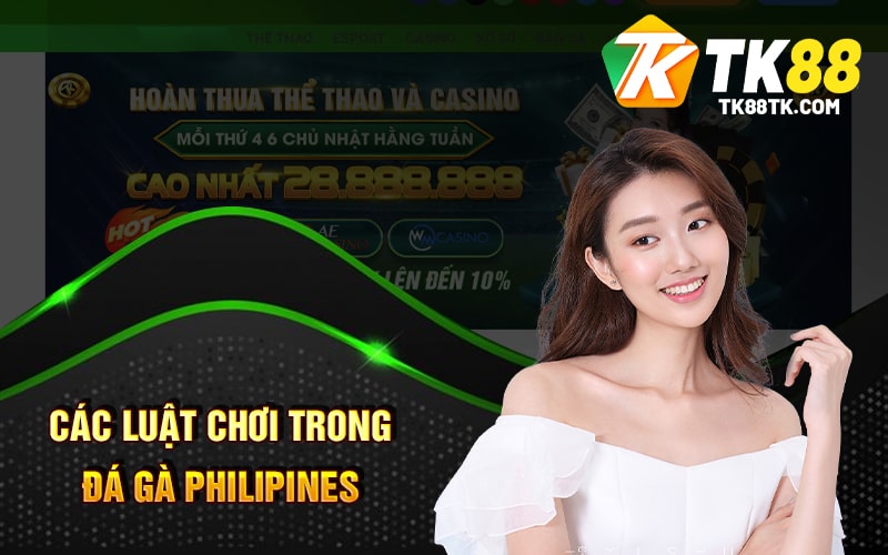 Các luật chơi trong Đá Gà Philipines
