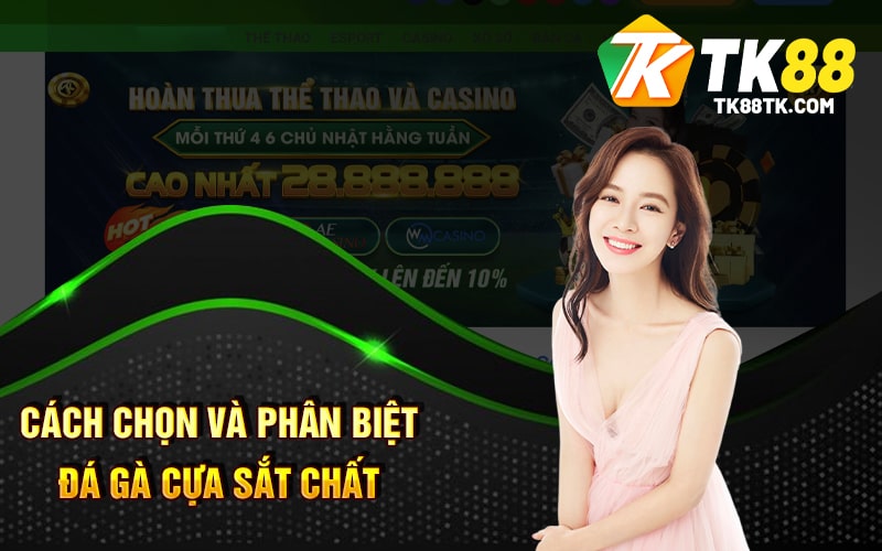 Cách Chọn Và Phân Biệt Đá Gà Cựa Sắt Chất Lượng