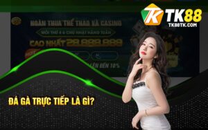 Đá Gà Trực Tiếp Là Gì
