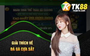 Giải Thích Về Đá Gà Cựa Sắt
