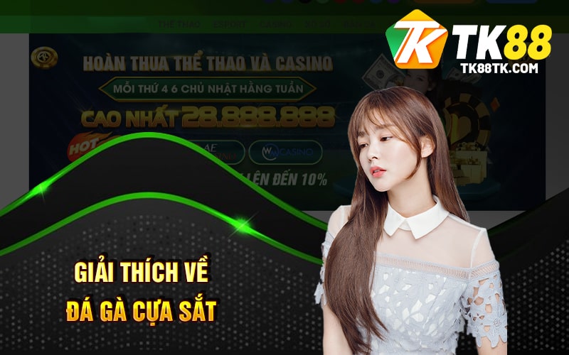 Giải Thích Về Đá Gà Cựa Sắt