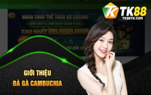 Giới Thiệu Đá Gà Cambuchia