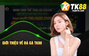 Giới Thiệu Về Đá Gà TK88