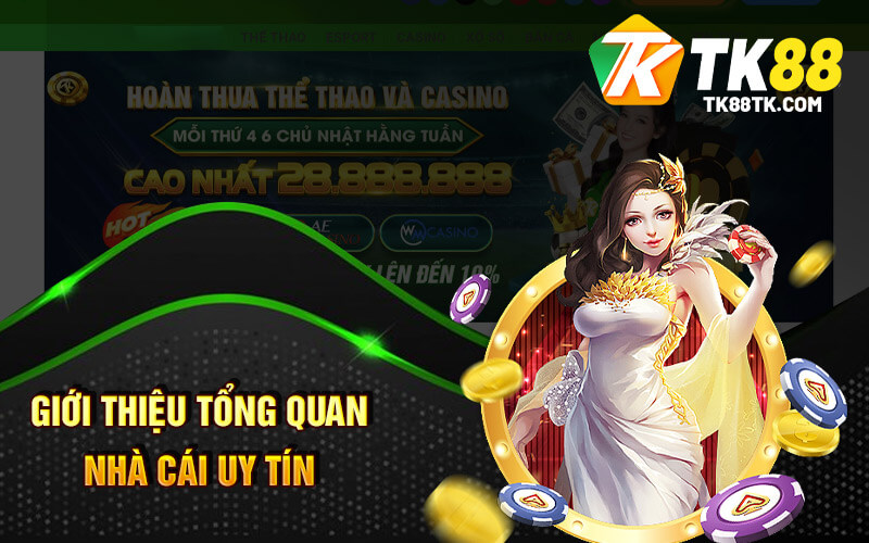 Giới Thiệu Tổng Quan Nhà Cái Tk88